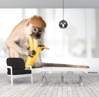 Bild på Monkey Banana Primate